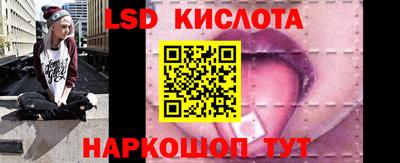 индика Камышлов