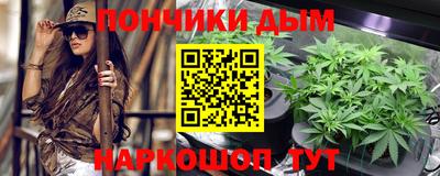 индика Камышлов