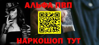 индика Камышлов